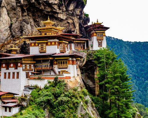 image_2026-02-10_222036703